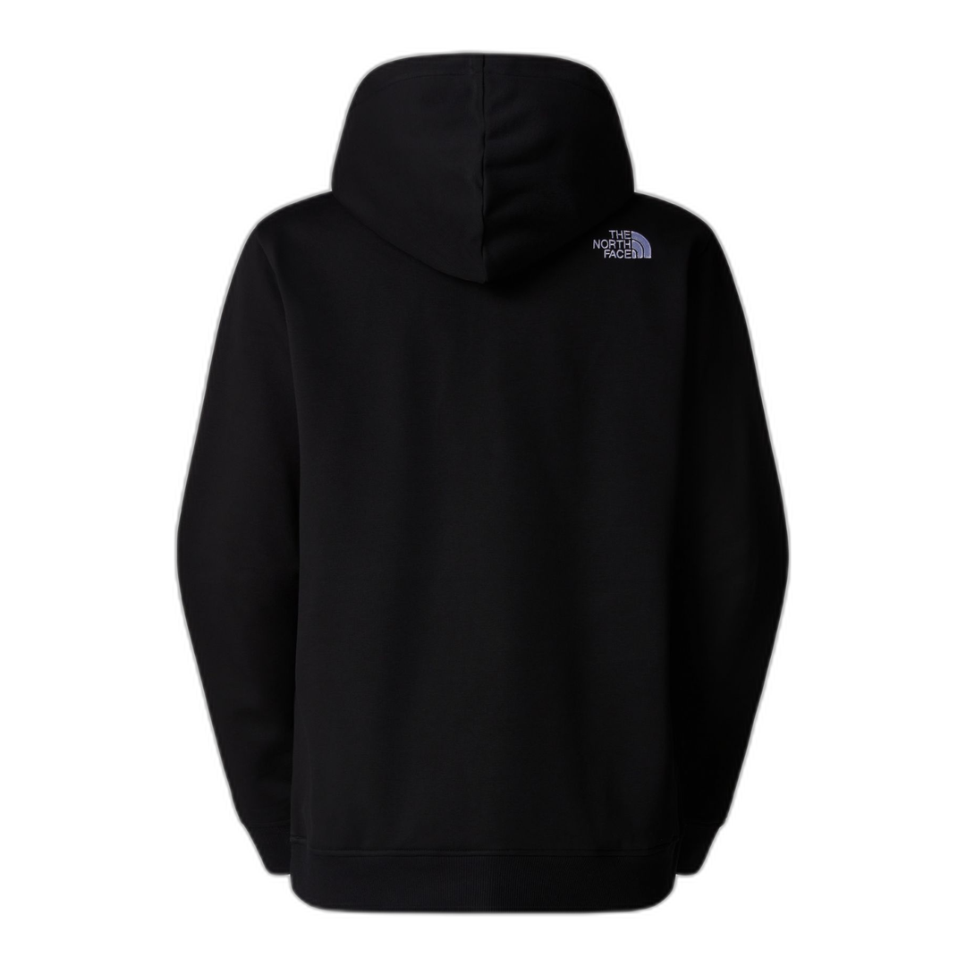 THE NORTH FACE W Drew Peak Pullover Hoodie-Womens