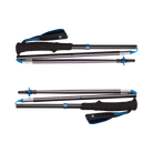 Bastoncini DISTANCE Z POLES