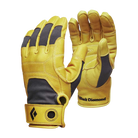 BLACK DIAMOND Transition Gloves-Unisex