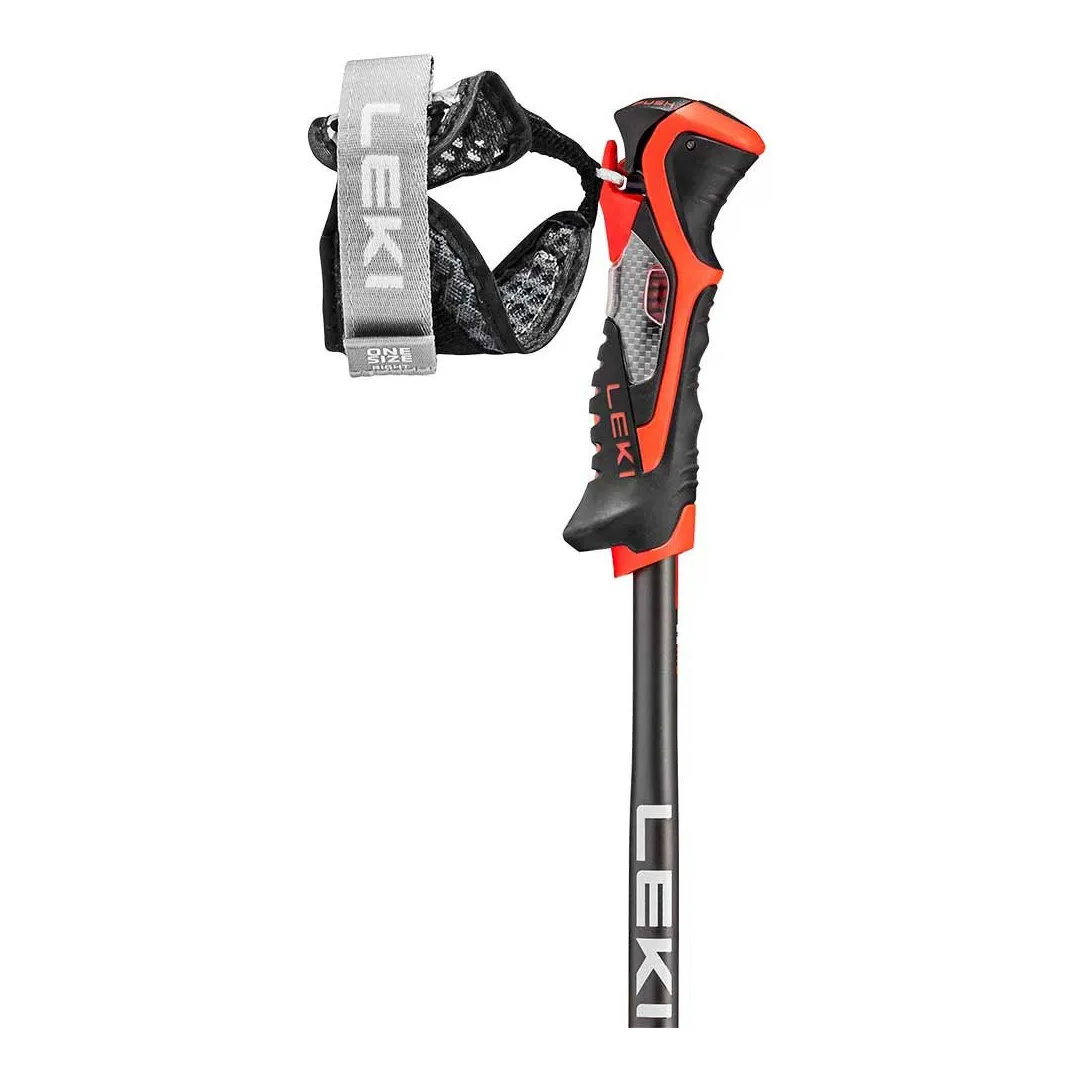 Poles Alpine Skiing LEKI Airfoil 3D