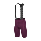 POWER 2.0 BIB SHORT