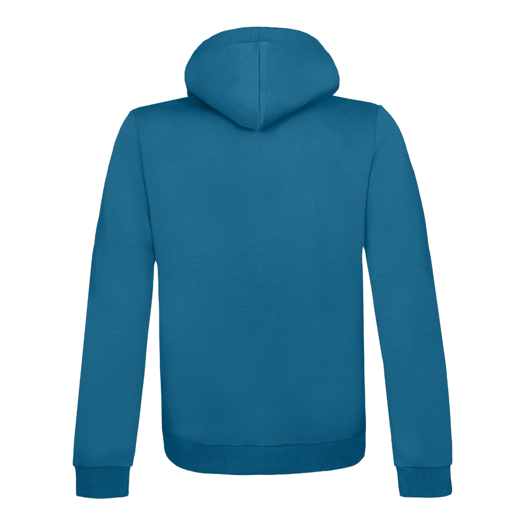 Rock Experience Precipizio hoodie felpa uomo
